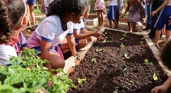 Oficina de plantio incentiva alimentação saudável em escolas e Cmei